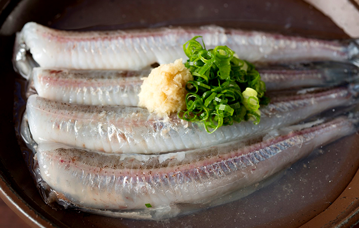 金沢市で名物料理のふぐ唐揚げ 天ぷら 刺身を贅沢に堪能するなら